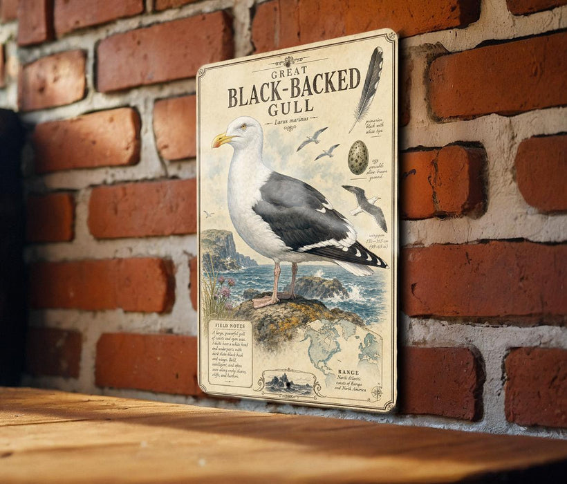 a vintage-style illustration of a black-backed gull, mounted on a brick wall.