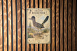 a vintage roadrunner sign mounted on a wooden wall.