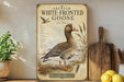 a vintage-style poster of a white-fronted goose, with a detailed illustration of the bird and its natural habitat. The poster is displayed on a shelf next to a wooden cutting board and a potted plant, creating a rustic and homey atmosphere.