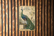 A vintage-style illustration of a peacock is displayed on a wooden wall, with a caption that reads "GREEN PEAFOWL" and "FAMILY PORCHUS".