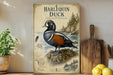 a vintage-style poster of a Harlequin Duck, with a detailed illustration of the bird and its natural habitat. The poster is displayed on a shelf next to a wooden cutting board and a potted plant, creating a rustic and homey atmosphere.
