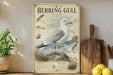 A framed illustration of a Herring Gull, a seabird, is displayed on a shelf next to a wooden cutting board and some potted plants.