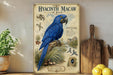 a large blue parrot, specifically a Hyacinth Macaw, perched on a branch. The parrot is surrounded by various tropical elements, including palm trees, fruits, and other wildlife. The image also includes text that provides information about the Hyacinth Macaw, such as its size, habitat, and diet.