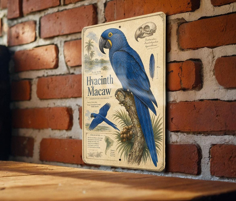 a vintage-style metal sign with a blue parrot illustration, mounted on a brick wall.