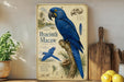 a detailed illustration of a blue hyacinth macaw perched on a tree branch, with various text elements and illustrations surrounding the bird.