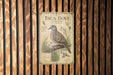 a vintage-style illustration of an Inca dove, with detailed illustrations of the bird and its natural habitat.