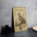 a vintage-style metal plaque with an illustration of an Inca dove, which is a type of bird. The plaque is placed on a table next to some black camera lenses and a woven basket.