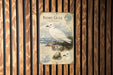a vintage-style illustration of a white seagull, with a detailed depiction of the bird's features and habitat.