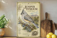 a vintage-style field guide to North American birds, specifically the Juniper titmouse, with illustrations of the bird perched on a pine branch and surrounded by pine needles and blueberries. The guide is displayed on a shelf next to a wooden cutting board and a potted plant, creating a rustic and nature-inspired setting.