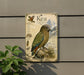 A vintage-style illustration of a kea parrot, featuring detailed illustrations of the bird and its natural habitat, including mountains and vegetation.