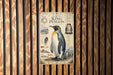A poster or informational display about the King Penguin, featuring illustrations and text about the species.
