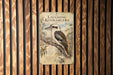a sign with a picture of a kookaburra, a large flightless bird native to Australia.