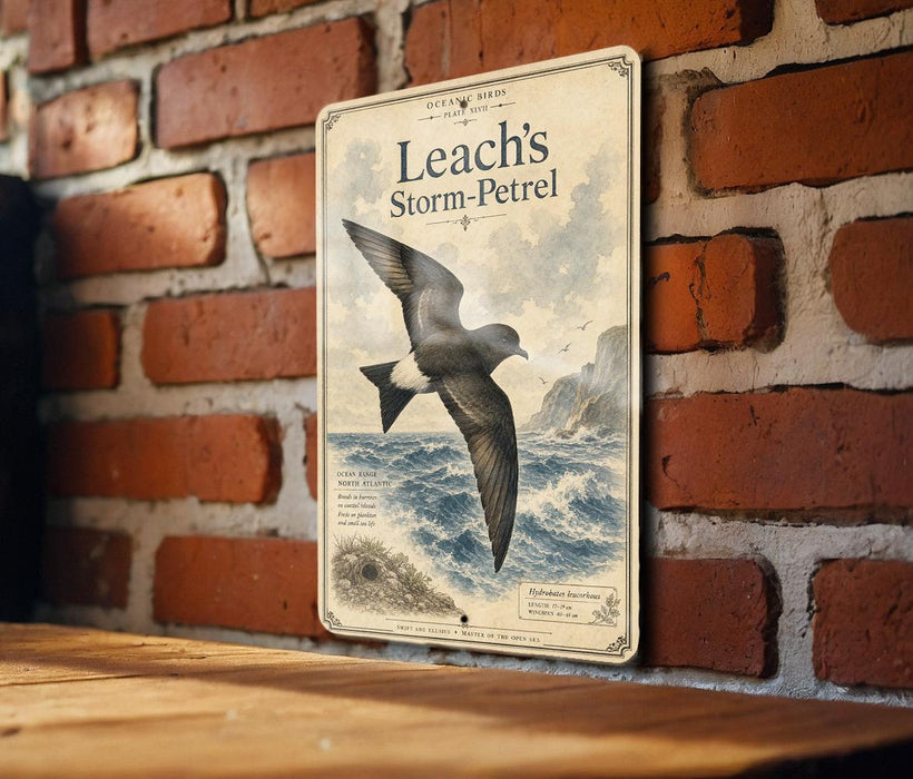 A metal sign with a vintage-style illustration of a bird, likely a seagull, flying over a body of water. The sign is mounted on a brick wall.