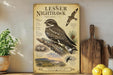 a poster or illustration of a Lesser Night Hawk, a bird of prey, perched on a branch. The poster includes detailed illustrations and text providing information about the species, such as its habitat, diet, and behavior. The poster is displayed on a shelf next to a wooden cutting board and a potted plant, creating a homely and nature-inspired setting.