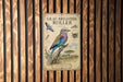 A poster of a colorful bird, specifically a lilac-breasted roller, is displayed on a wooden wall.