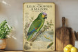 a vintage-style poster of a green and yellow parrot, specifically a Lilac-Crowned Amazon, perched on a branch. The poster is displayed on a shelf next to a wooden cutting board and a potted plant.