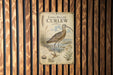 a metal sign with an illustration of a long-billed curlew bird, surrounded by various bird-related elements such as plants and a birdhouse.