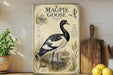 a framed illustration of a magpie goose, which is an American semicolonate waterfowl. The illustration depicts the bird standing on a pond with water lilies and reeds. The frame has a decorative border and includes text that provides information about the species.