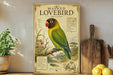 a framed illustration of a masked lovebird, a colorful parrot species, perched on a branch with various plants and fruits. The framed artwork is displayed on a shelf, surrounded by kitchen utensils and a potted plant.