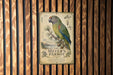A vintage-style metal sign featuring a colorful parrot perched on a branch, with text and illustrations related to the parrot species.