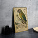 A vintage-style poster of a parrot, specifically Meyer's Parrot, is displayed on a wall next to a stack of black camera lenses.