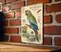 a vintage-style metal sign with a colorful illustration of a macaw, a type of parrot, perched on a branch. The sign is mounted on a brick wall and appears to be a decorative piece.