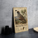 A vintage-style metal plaque featuring an illustration of a quail bird, with text and details about the species.