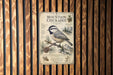 a poster or informational sign about the Mountain Chickadee, which is a small bird with a black and white face, gray body, and gray wings.
