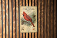 a poster of a red cardinal perched on a pine branch, mounted on a wooden wall.