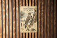 a detailed illustration of a Northern Flicker, a bird known for its distinctive appearance and behavior. The illustration includes a close-up of the bird's head and neck, as well as a detailed illustration of its wings and tail. The text on the image provides information about the Northern Flicker, including its habitat, diet, and behavior.