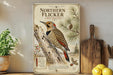 A framed illustration of a Northern Flicker, a bird with a distinctive red-shafted crest, is displayed on a shelf next to a wooden cutting board and a potted plant.