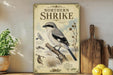 a poster or painting of a Northern Shrike, a bird species, displayed on a wall. The poster includes a detailed illustration of the bird and its natural habitat, as well as information about the species.