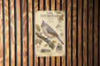a poster of an oak titmouse, a small bird with a gray and brown coloration, perched on a branch with leaves and acorns.