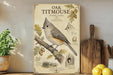 a framed illustration of an oak titmouse perched on a tree branch, accompanied by detailed illustrations and text.