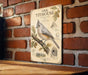 a vintage-style illustration of an oak titmouse perched on a branch, with detailed botanical illustrations and text providing information about the bird.
