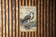 a poster of an Osprey, a large bird of prey, perched on a branch with a fish in its beak. The poster includes illustrations and text that describe the bird's features and habitat.