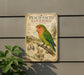 a vintage-style metal sign with a colorful illustration of a peach-faced lovebird perched on a branch, surrounded by various bird-related elements.