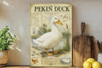 a poster or painting of a Pekin duck, which is a type of waterfowl. The poster includes illustrations and text that provide information about the Pekin duck, such as its physical characteristics, habitat, and behavior. The poster is displayed on a shelf, with a potted plant and a wooden cutting board visible in the background.