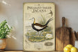 A vintage-style illustration of a peacock-tailed Jacana bird, with detailed text and illustrations, is displayed on a shelf next to a wooden cutting board and a potted plant.