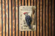 a poster of a woodpecker on a tree trunk, mounted on a wooden wall.