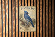 A vintage-style metal sign with a blue jay illustration is mounted on a wooden wall.