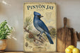 A vintage-style poster of a blue jay bird is displayed on a shelf, surrounded by kitchen utensils and a potted plant.