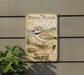 a sign for a piping plover, a type of shorebird, with a detailed illustration of the bird and its natural habitat.