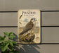 a detailed illustration of a Prairie Falcon, a bird of prey native to North America. The illustration depicts the bird perched on a rock, surrounded by a natural landscape with grass, flowers, and mountains in the background. The bird's distinctive features, such as its sharp talons and keen eyesight, are clearly visible. The image is a collage of multiple images, and the text "Prairie Falcon" is prominently displayed at the top.