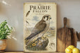 a poster of a prairie falcon, which is a bird of prey native to North America. The poster is mounted on a wall and includes a detailed illustration of the bird along with its habitat and characteristics.