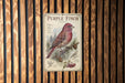 a vintage-style metal sign with a detailed illustration of a purple finch perched on a pine branch, surrounded by pine cones and berries.