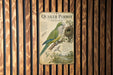 a vintage-style poster of a Quaker Parrot, with a detailed illustration of the bird and its natural habitat.