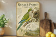 a vintage-style educational poster about the Quaker Parrot, with illustrations and text providing information about the bird.