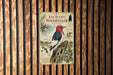 a poster of a red-headed woodpecker, with illustrations and text providing information about the bird.