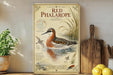 a vintage-style illustration of a red phalarope, a type of wading bird, with a detailed depiction of its natural habitat and features.